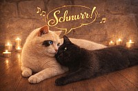 Eheleute Morgenlicht